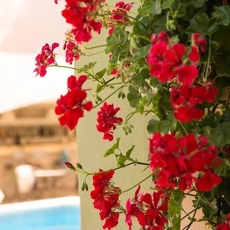 Dimitriadis Fresh Edem Limenas (Thasos)