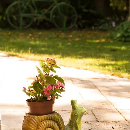 Dimitriadis Fresh Edem * لايميناس