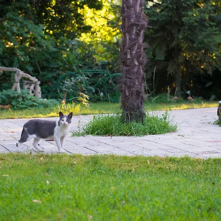 Apartament Dimitriadis Fresh Edem