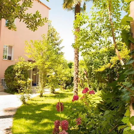 Dimitriadis Fresh Edem *