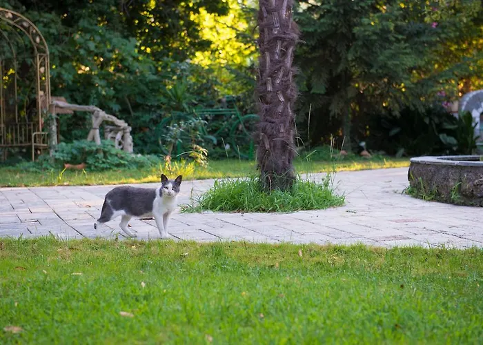 Lejlighed Dimitriadis Fresh Edem